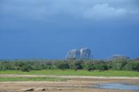 340 Safari im Yala Nationalpark