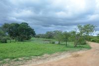 344 Safari im Yala Nationalpark