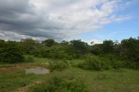 345 Safari im Yala Nationalpark