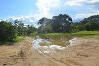 353 Safari im Yala Nationalpark