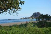 359 Küste im Yala Nationalpark