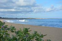 360 Küste im Yala Nationalpark