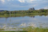 366 Safari im Yala Nationalpark