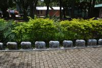 385 Elefantenwaisenhaus Udawalawe