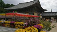 Bulguksa Tempel Südkorea