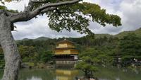 Kinkakuji Tempel Kyoto