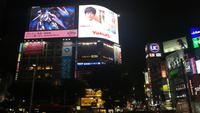 Tokyo Shibuya Kreuzung