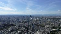 Tokyo Panorama