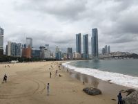 203. Dongbaek Park mit APEC House, Busan Südkorea