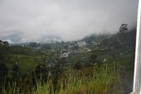211 Nuwara Eliya
