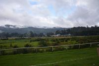 214 Nuwara Eliya