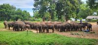 219 über 50 Jungtiere werden hier täglich 2x versorgt