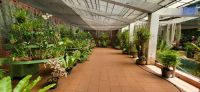 86 Orchideenhaus im Botanischen Garten