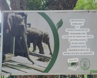 207 mit Unterstützung aus Deutschland 