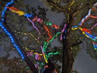 19) Jogyesa Tempel, Seoul, Südkorea