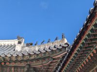 37) Gyeongbokgung Könispalast, Seoul, Südkorea