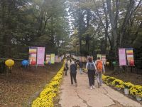 78) Haeinsa Tempel, Südkorea