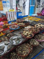 168. Jagalchi Fischmarkt, Busan, Südkorea