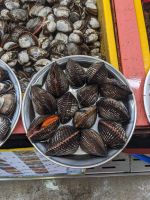 171. Jagalchi Fischmarkt, Busan, Südkorea