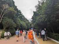 193. Dongbaek Park mit APEC House, Busan Südkorea