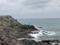 199. Dongbaek Park mit APEC House, Busan Südkorea