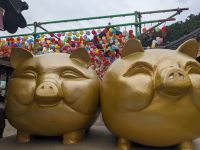 213. Yonggungsa Tempel, Busan, Südkorea