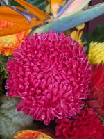 261. Bao-An-Tempel, Taipeh, Taiwan