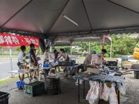 351. Mittagspause auf der Ananasplantage, Taiwan