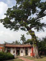 375. Konfuziustempel, Tainan, Taiwan