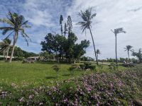 430. Wasser, das aufwärts fließt, Ostküste Taiwan