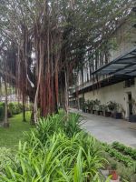 475. Gaeavilla Resort Außengelände, Hualien, Ostküste Taiwan