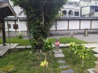 482. Ji`an Qingxiu Tempel, Hualien, Ostküste Taiwan