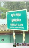 123 Ankunft Nuwara Eliya