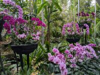 25. Botanischer Garten Taipeh, Taiwan &ndash; &copy; Teresa Rumpel (Eberhardt TRAVEL)