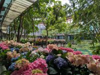26. Botanischer Garten Taipeh, Taiwan &ndash; &copy; Teresa Rumpel (Eberhardt TRAVEL)