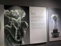 41. Salatkopf mit Grashüpfer Ausstellungsstück im Nationales Palastmuseum Taipeh, Taiwan &ndash; &copy; Teresa Rumpel (Eberhardt TRAVEL)