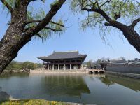 88. Gyeongbokgung Palast, Seoul, Südkorea &ndash; &copy; Teresa Rumpel (Eberhardt TRAVEL)
