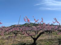 117. Traditionelles Dorf - Hahoe Village, Südkorea &ndash; &copy; Teresa Rumpel (Eberhardt TRAVEL)