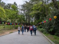 134. Bulguksa-Tempel, Gyeongju, Südkorea &ndash; &copy; Teresa Rumpel (Eberhardt TRAVEL)