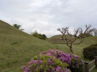 143. Königsgrabhügel Daereungwon von Gyeongju, Südkorea &ndash; &copy; Teresa Rumpel (Eberhardt TRAVEL)