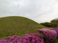 148. Königsgrabhügel Daereungwon von Gyeongju, Südkorea &ndash; &copy; Teresa Rumpel (Eberhardt TRAVEL)