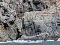 160. Freitaucher am Taejongdae Aussichtspunkt an der Küste mit kurzfristiger Planänderung einer Bootsfahrt, Busan, Südkorea &ndash; &copy; Teresa Rumpel (Eberhardt TRAVEL)