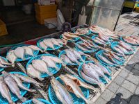 165. Fischmarkt Busan, Südkorea &ndash; &copy; Teresa Rumpel (Eberhardt TRAVEL)
