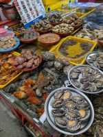 167. Fischmarkt Busan, Südkorea &ndash; &copy; Teresa Rumpel (Eberhardt TRAVEL)