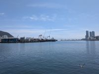 170. Hafen von Busan am Fischmarkt, Busan, Südkorea &ndash; &copy; Teresa Rumpel (Eberhardt TRAVEL)