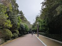 178. Auf dem Weg zum APEC House, Busan, Südkorea &ndash; &copy; Teresa Rumpel (Eberhardt TRAVEL)