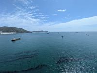 217. Songdo Bay Gondelfahrt, Busan, Südkorea &ndash; &copy; Teresa Rumpel (Eberhardt TRAVEL)