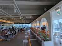 223. Songdo Bay Skypark, Busan, Südkorea &ndash; &copy; Teresa Rumpel (Eberhardt TRAVEL)