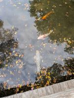 245. Jap. Landschaftsgarten Shukkei-en, Hiroshima, Japan &ndash; &copy; Teresa Rumpel (Eberhardt TRAVEL)