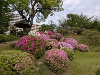 246. Jap. Landschaftsgarten Shukkei-en, Hiroshima, Japan &ndash; &copy; Teresa Rumpel (Eberhardt TRAVEL)